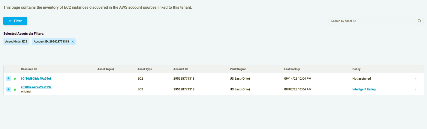 Figure 1.3: Filtering Assets by Account ID